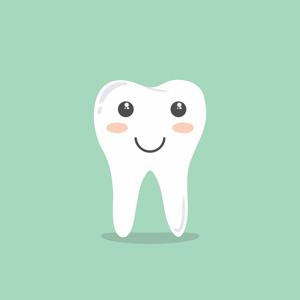 Isle of Wight Dental Insurance for Braces & Invisalign - Ryde; Cowes & Shanklin Guide