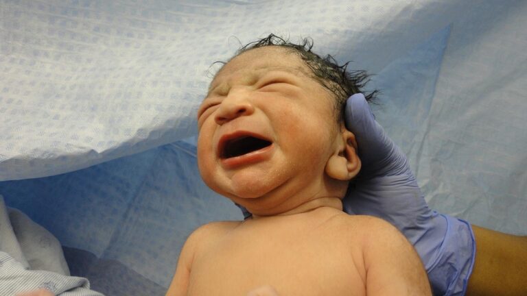 Maternity and Newborn Cover on the Isle of Wight - Ryde to Ventnor Family Guide